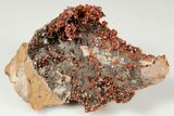 Ruby Red Vanadinite Crystal Cluster - Morocco #196344-2